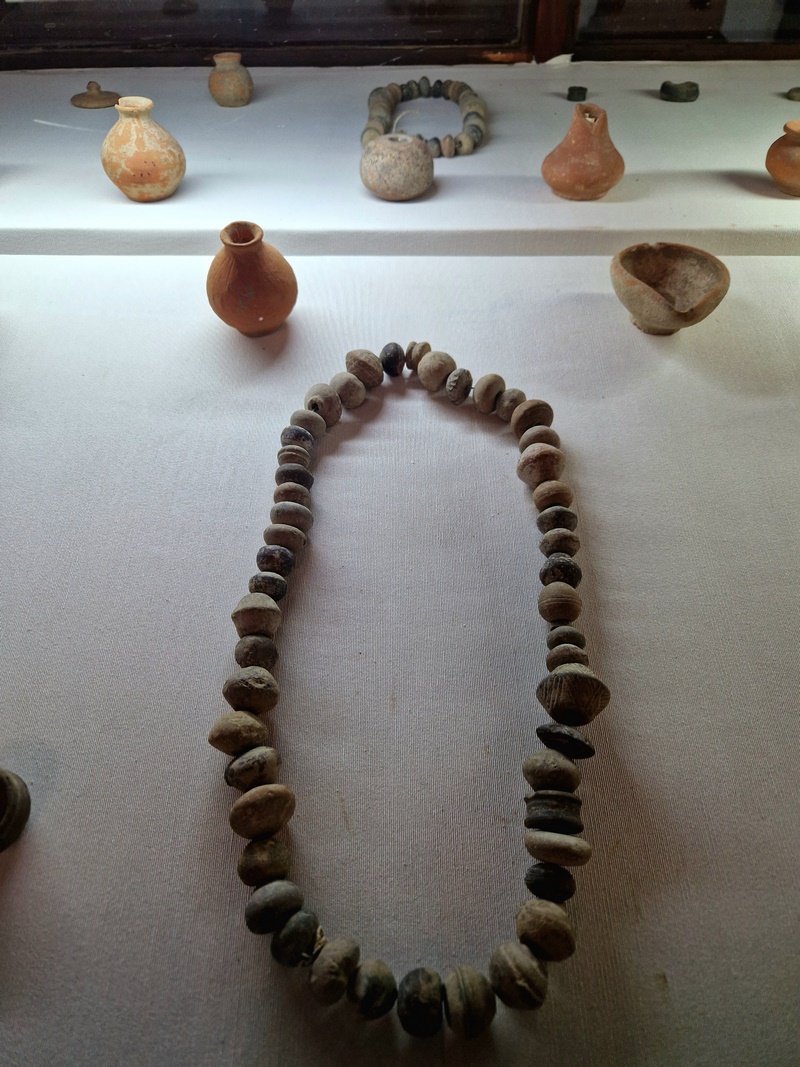 20251002_115533 (Kopiowanie).jpg