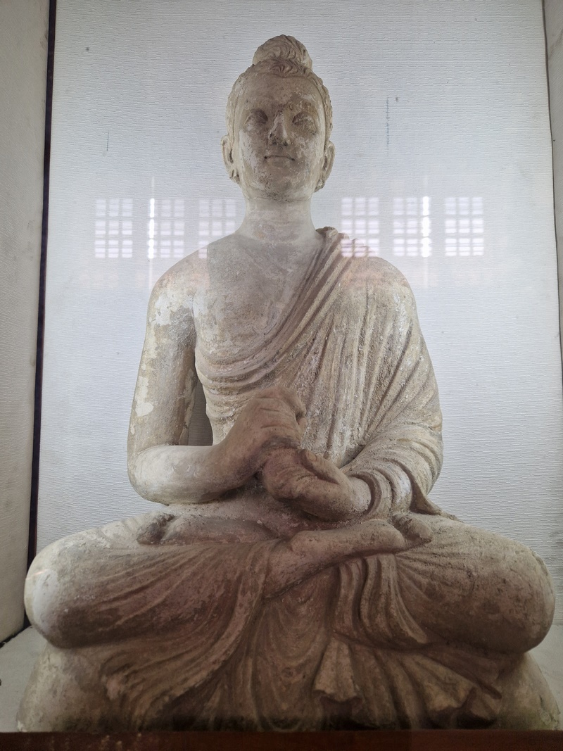 20251002_115637 (Kopiowanie).jpg