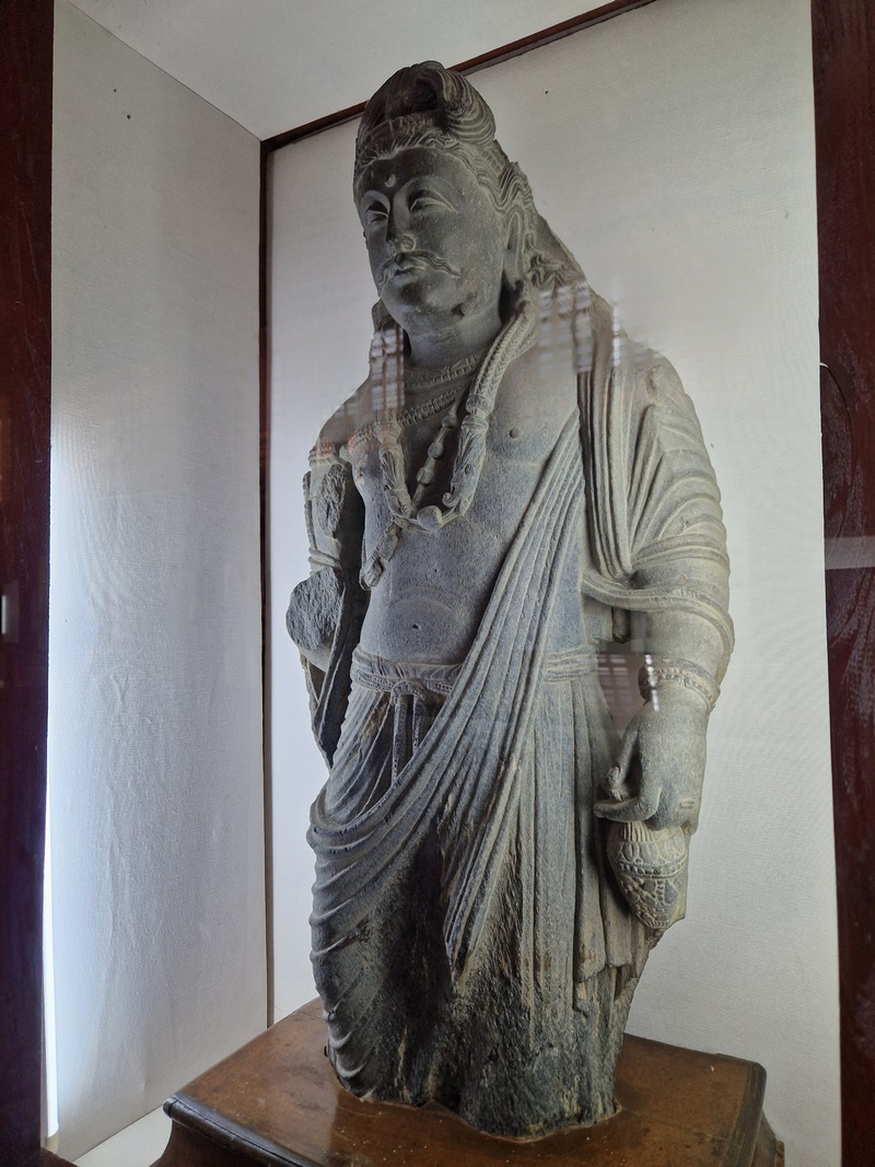 20251002_115739 (Kopiowanie).jpg