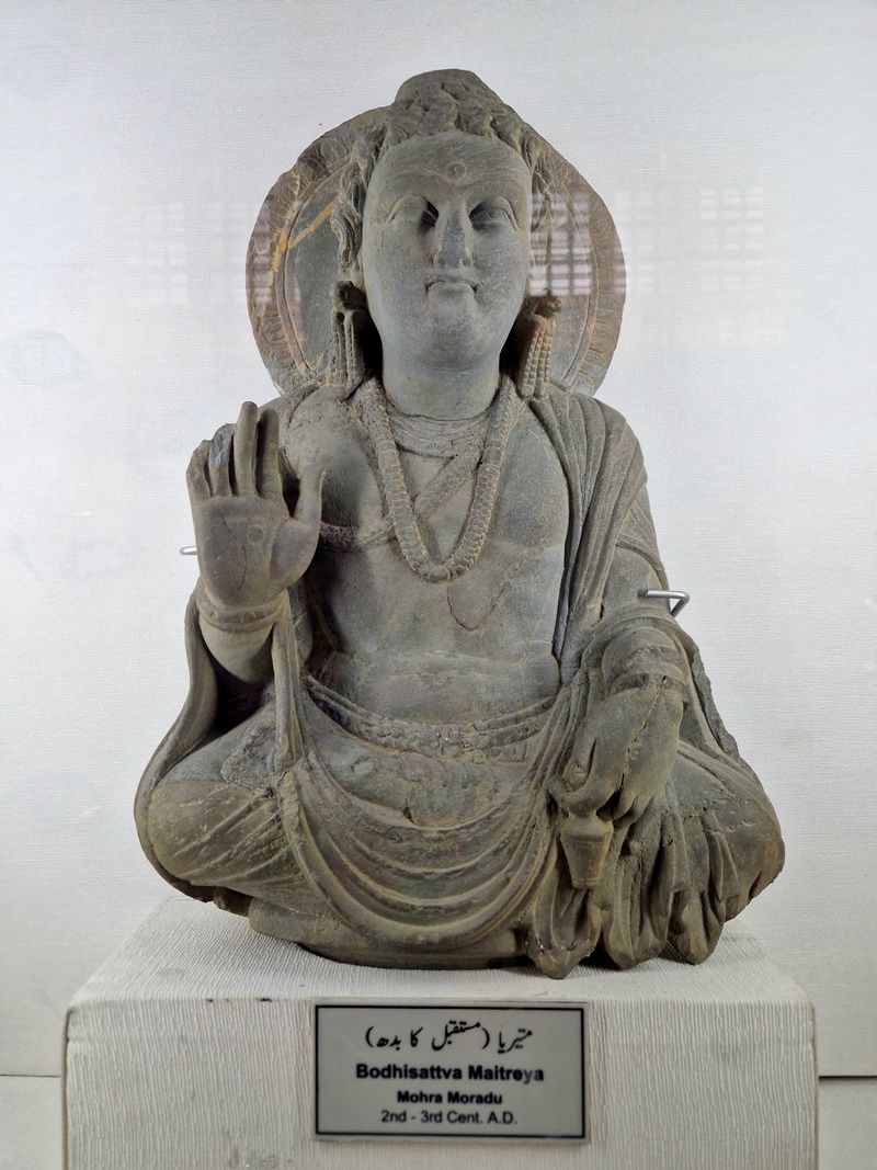 20251002_115854 (Kopiowanie).jpg