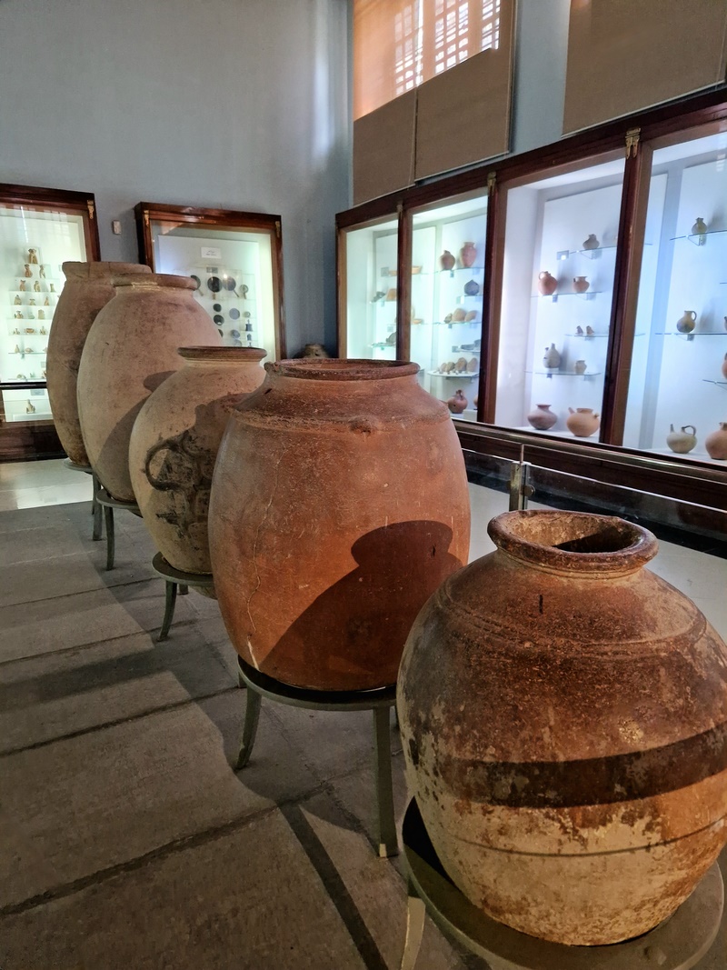 20251002_120330 (Kopiowanie).jpg