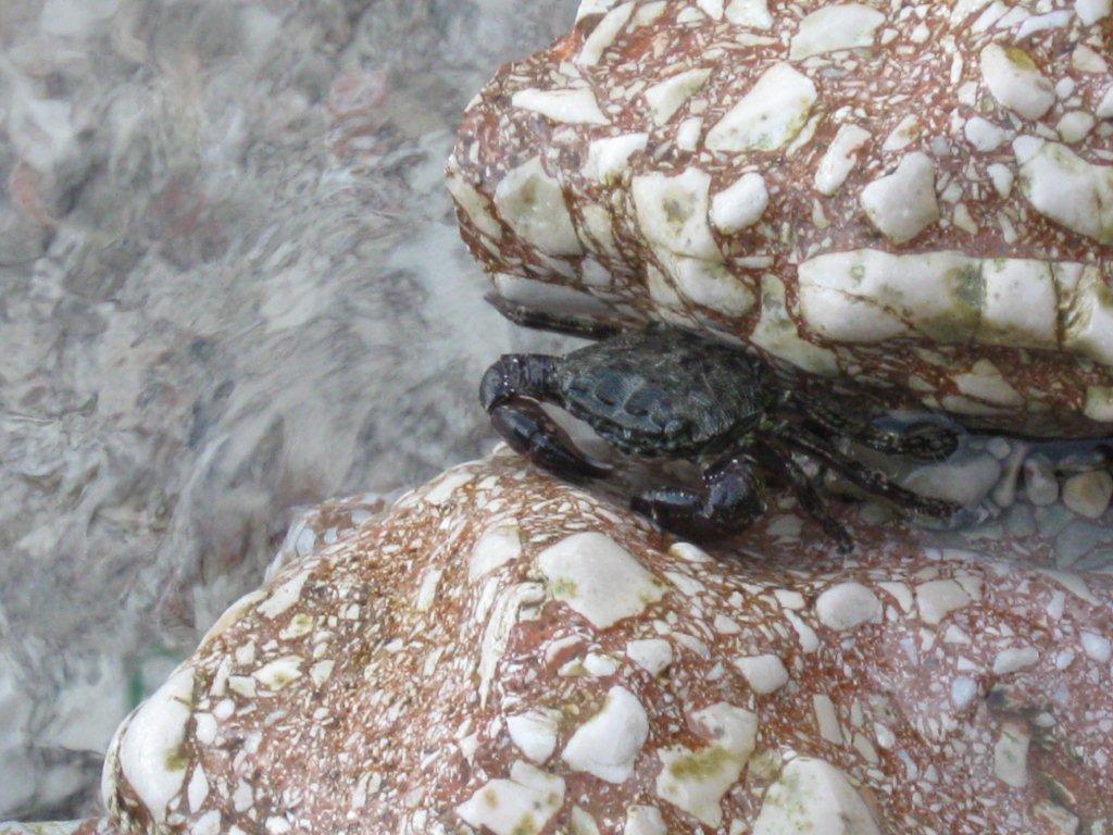 Chorwacja 2008 309.jpg