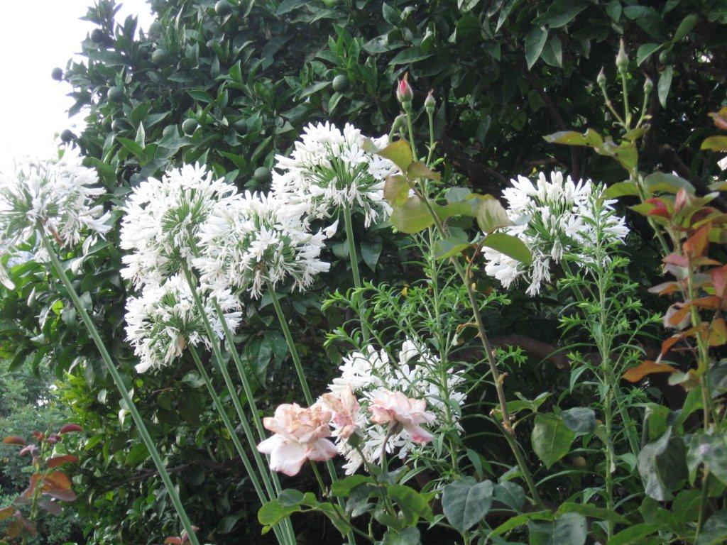 Chorwacja 2008 330.jpg