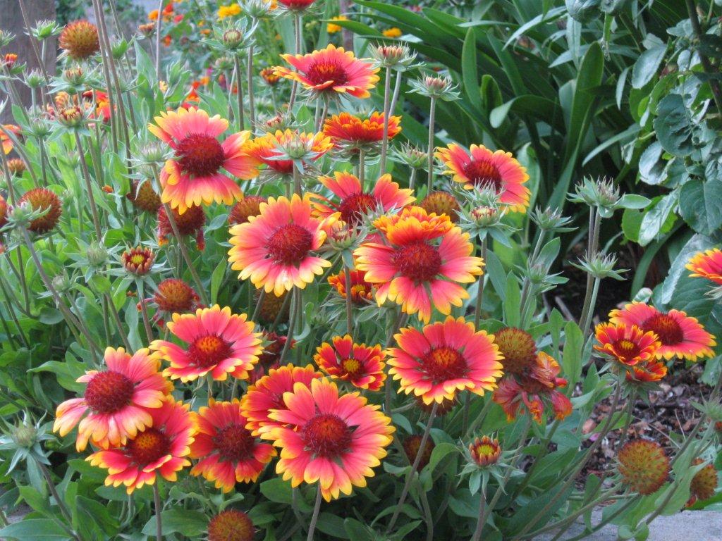 Chorwacja 2008 331.jpg