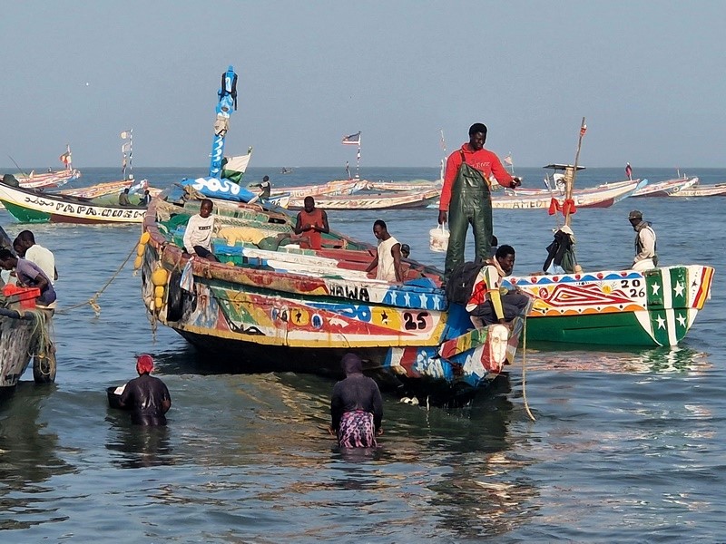 20251220_091834 (Kopiowanie).jpg