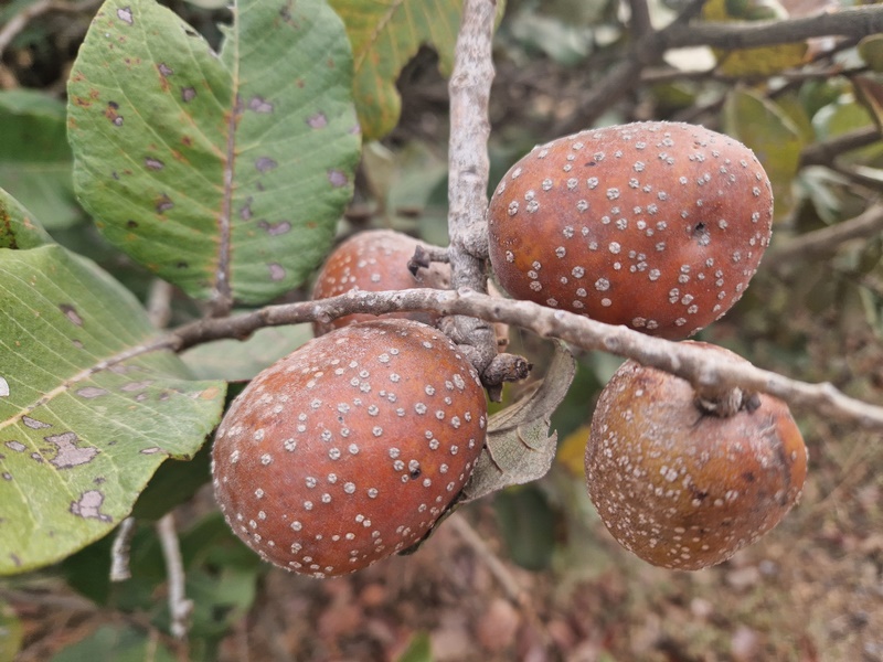 20251223_102653 (Kopiowanie).jpg