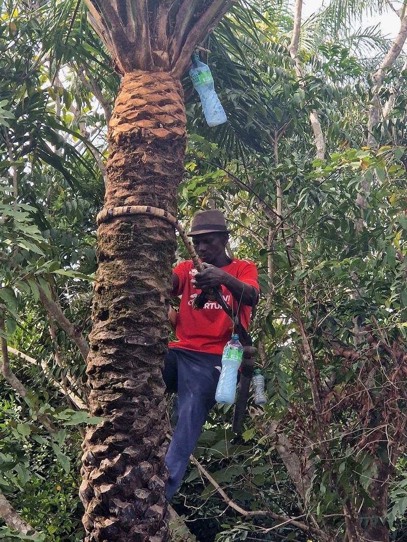 20251223_103522 (Kopiowanie).jpg