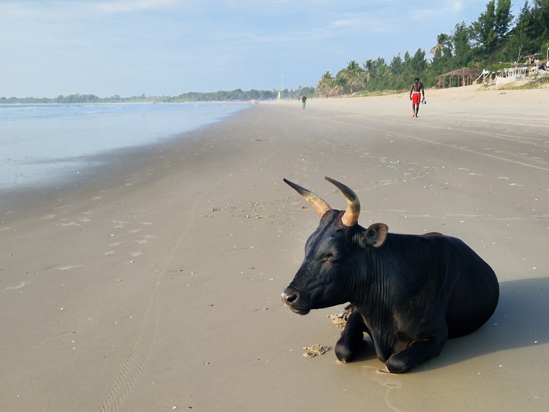 20251223_172726 (Kopiowanie).jpg