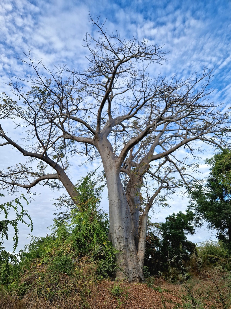 20251225_175336 (Kopiowanie).jpg