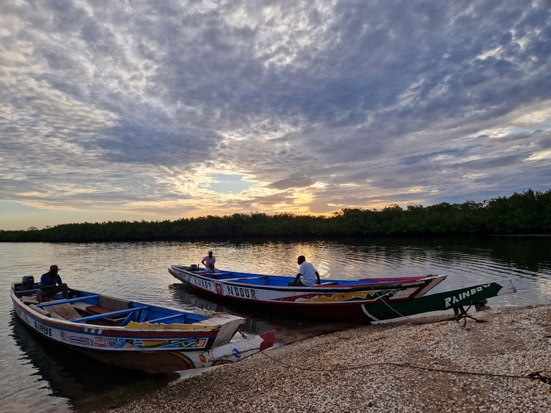 20251225_181423 (Kopiowanie).jpg