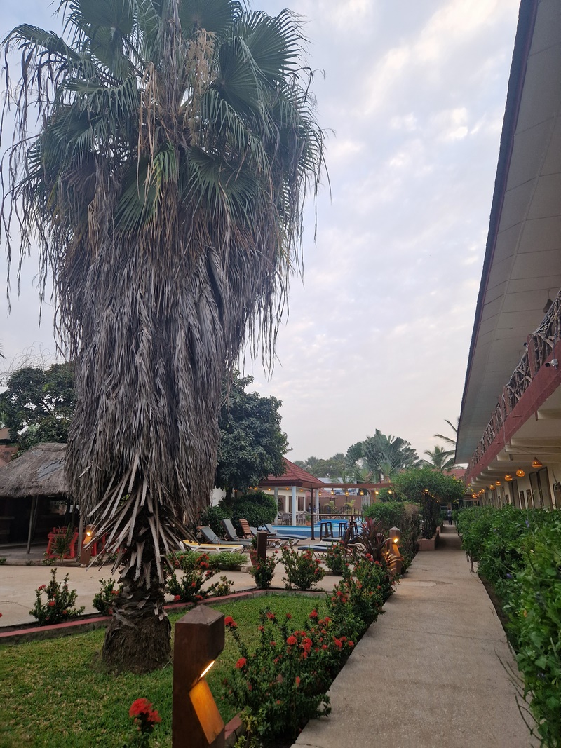 20251219_193130 (Kopiowanie).jpg