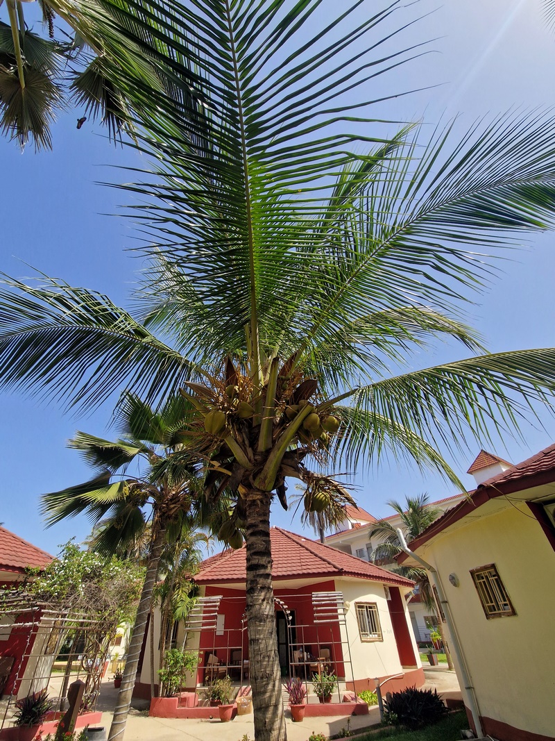 20251220_125040 (Kopiowanie).jpg