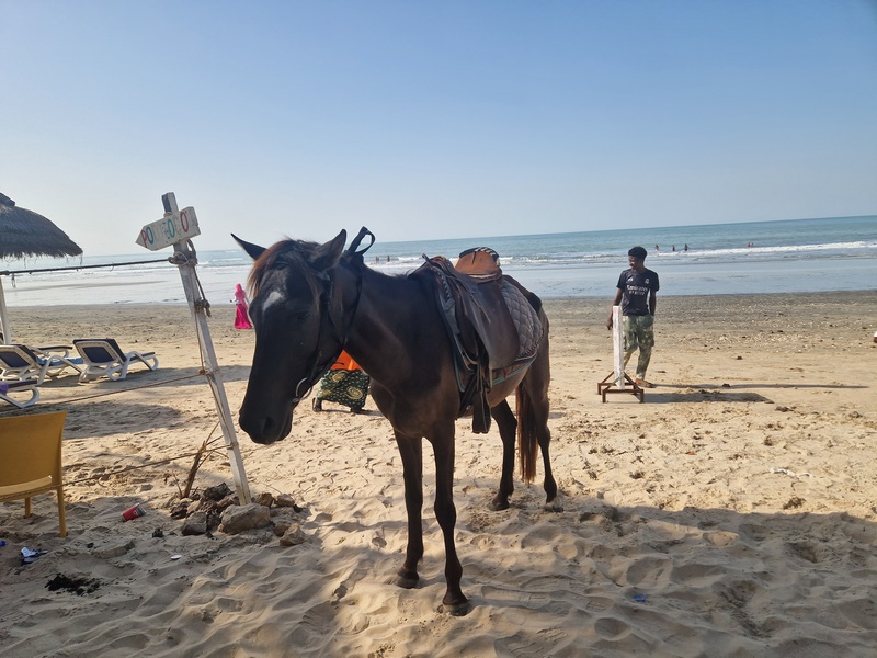 20251220_155240 (Kopiowanie).jpg