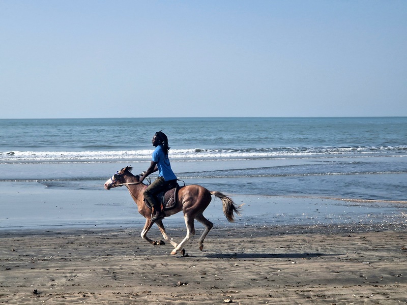 20251220_155629 (Kopiowanie).jpg