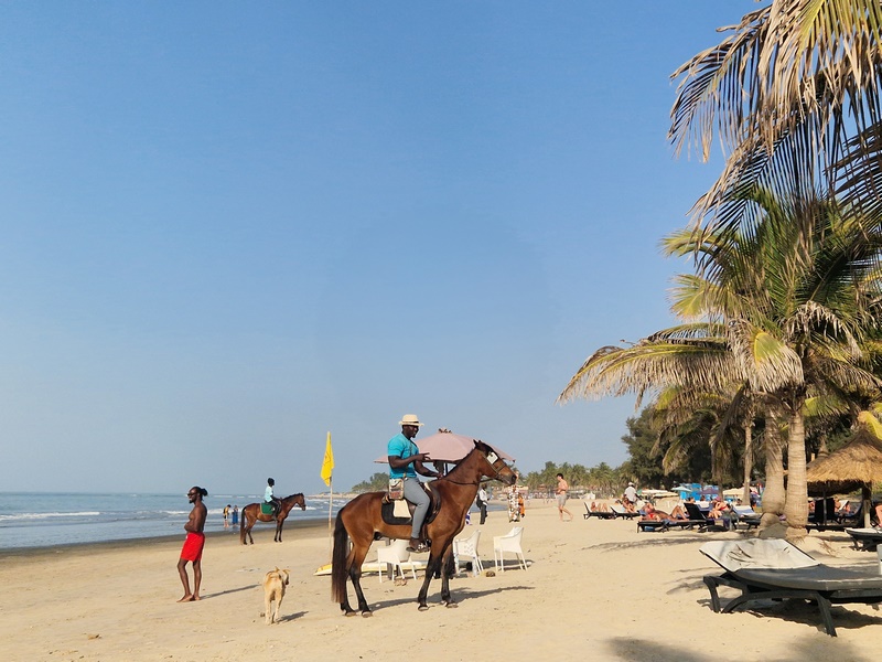 20251220_163349 (Kopiowanie).jpg