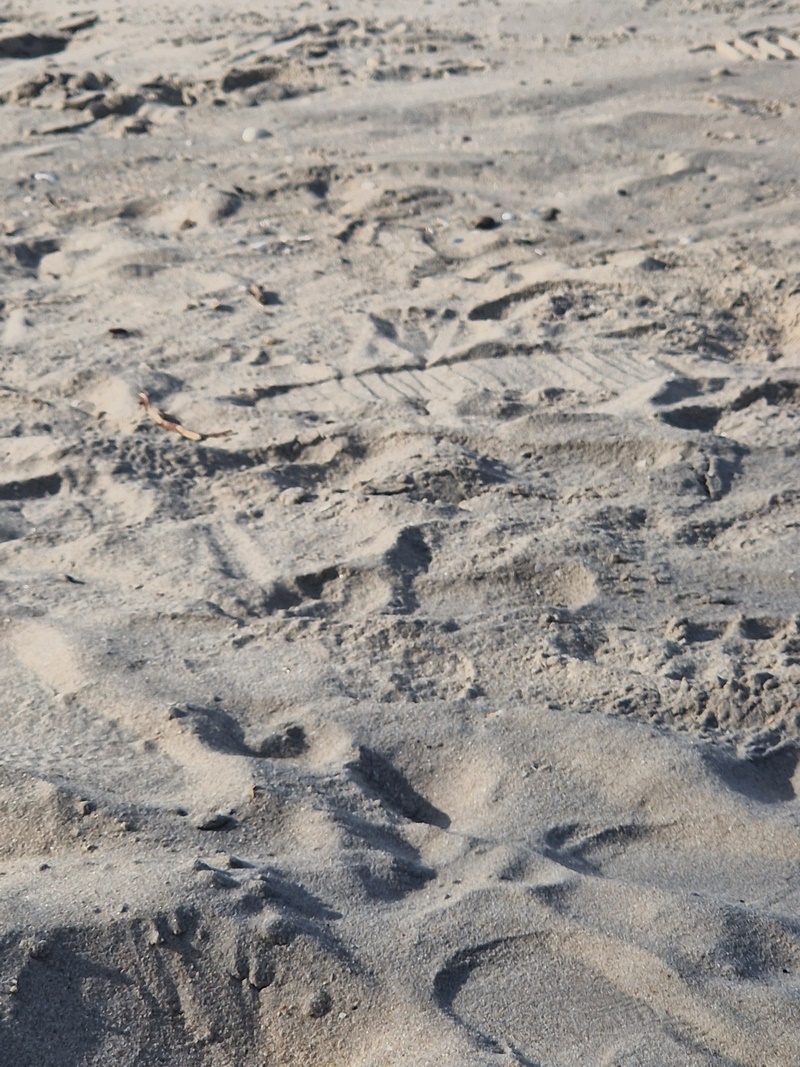 20251220_163550 (Kopiowanie).jpg