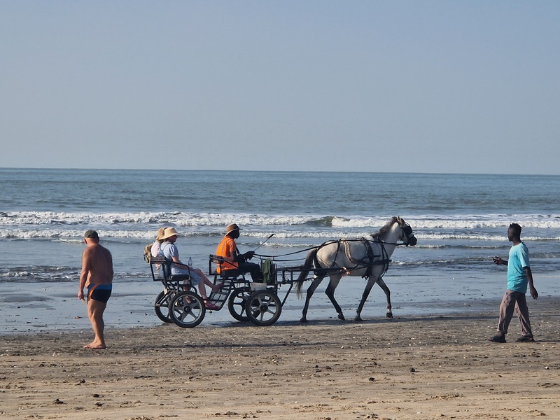 20251220_164814 (Kopiowanie).jpg