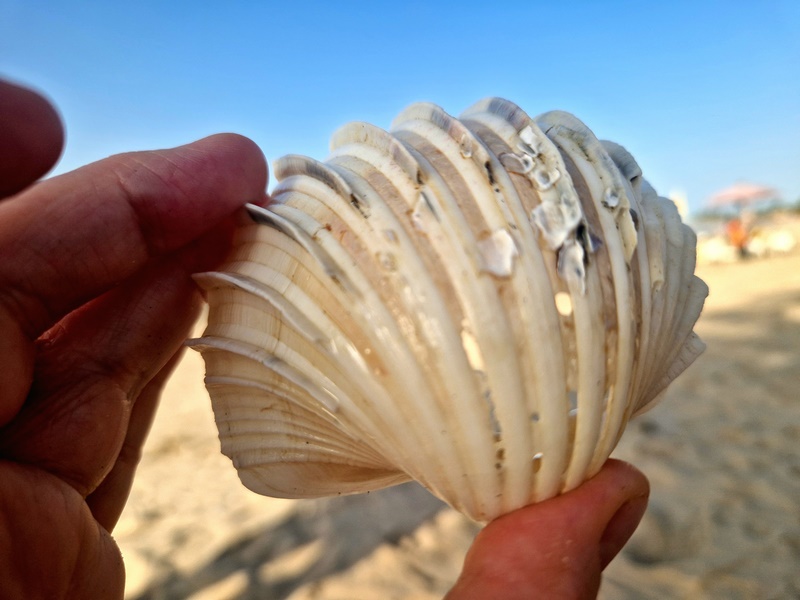 20251220_165154 (Kopiowanie).jpg