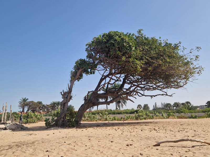 20251220_112544 (Kopiowanie).jpg