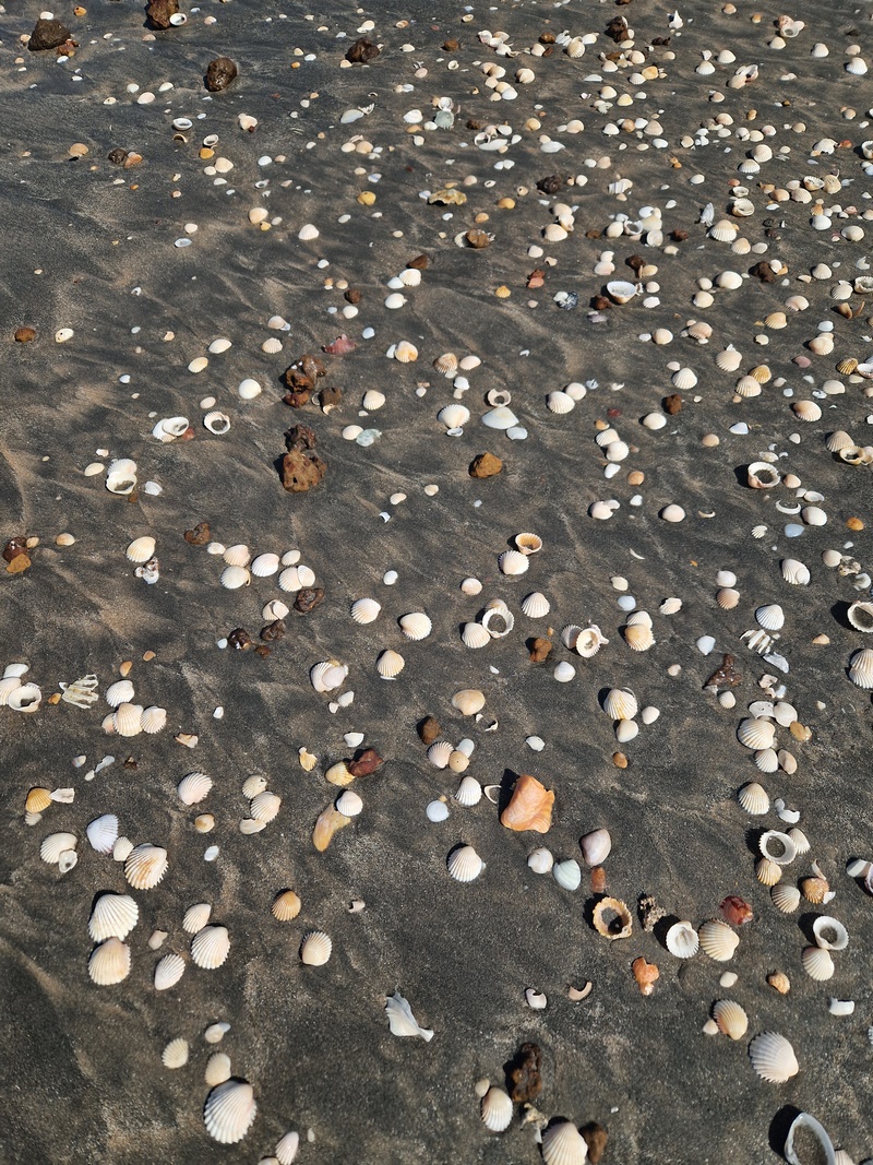 20251220_113235 (Kopiowanie).jpg