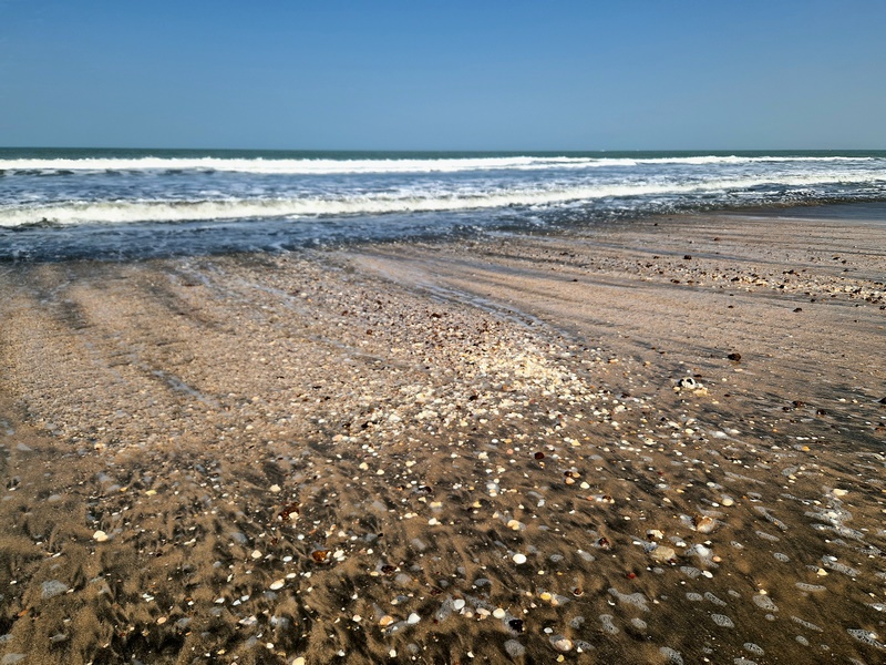 20251220_113307 (Kopiowanie).jpg