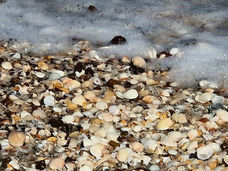 20251220_113318 (Kopiowanie).jpg