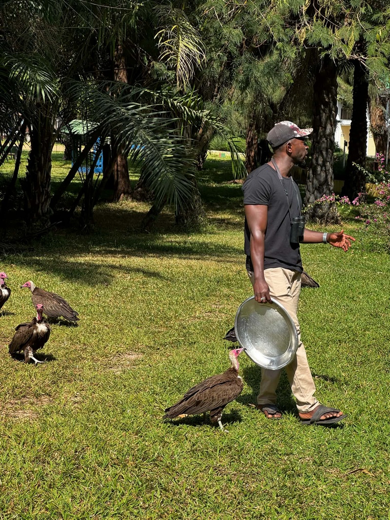 22734878-5b6a-4dd3-b4dc-6c778085e4ce (Kopiowanie).jpg