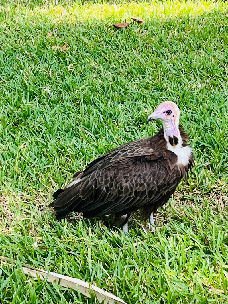 ca3a17c4-c400-4f62-9c15-0046fc927b30 (Kopiowanie).jpg