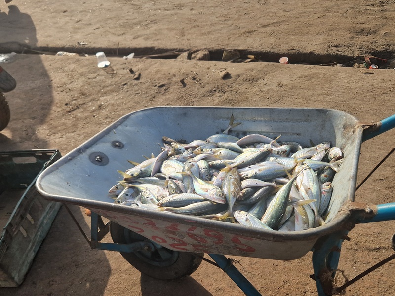 20251220_091144 (Kopiowanie).jpg