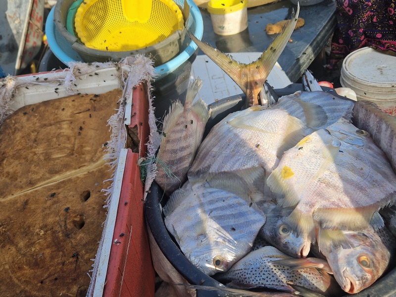 20251220_091236 (Kopiowanie).jpg