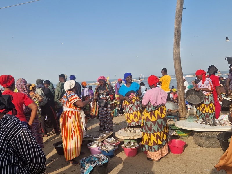 20251220_091304 (Kopiowanie).jpg