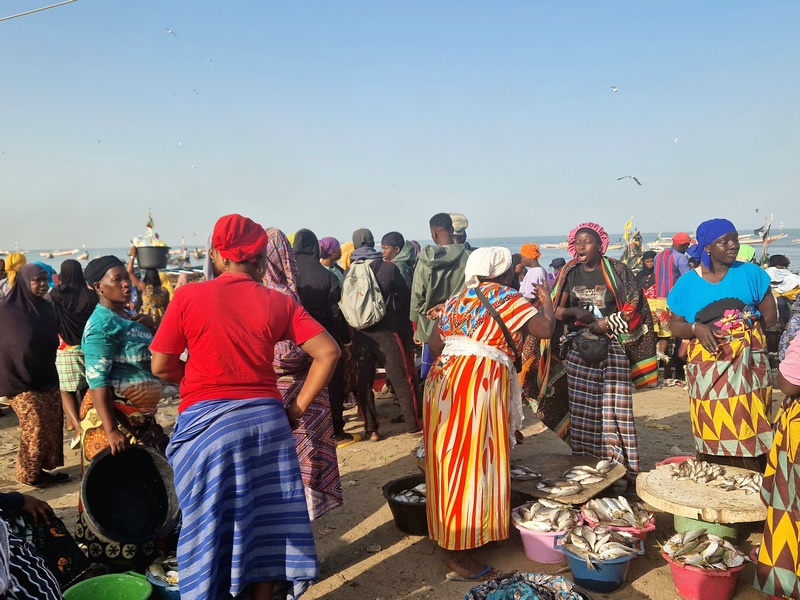 20251220_091305 (Kopiowanie).jpg