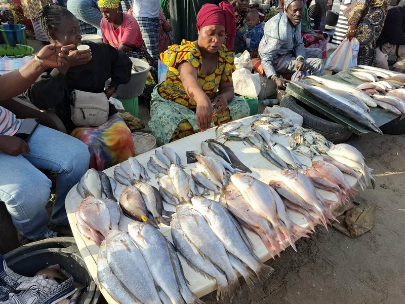 ed114442-efcb-43e4-9770-2d4abd123df2 (Kopiowanie).jpg