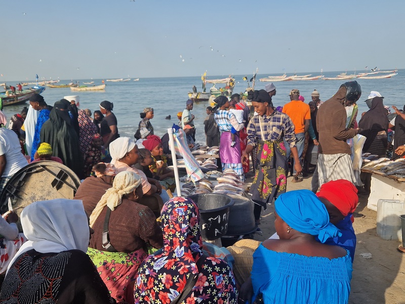 20251220_091333 (Kopiowanie).jpg