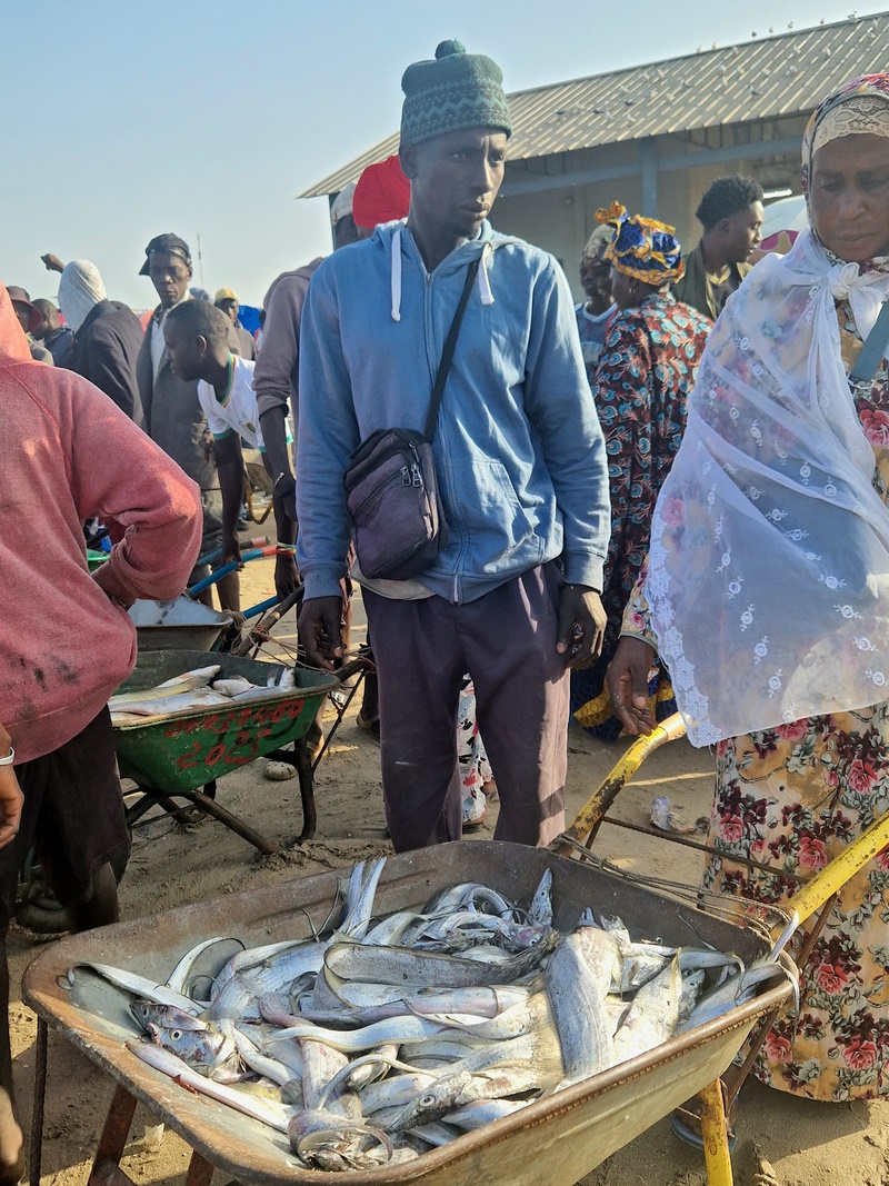 20251220_091338 (Kopiowanie).jpg