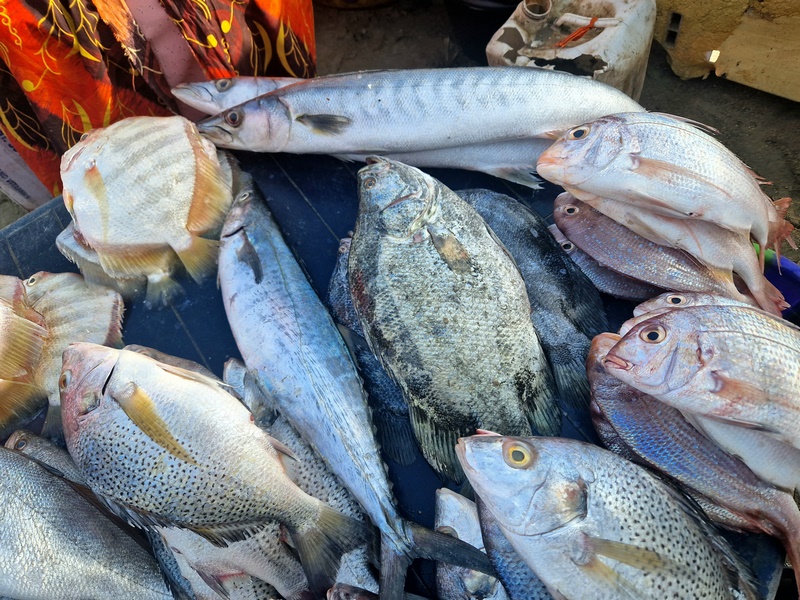 20251220_091410 (Kopiowanie).jpg