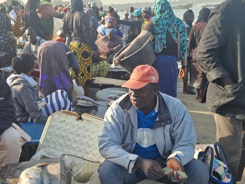 20251220_091522 (Kopiowanie).jpg