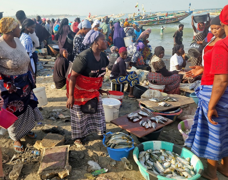 20251220_091636 (Kopiowanie).jpg