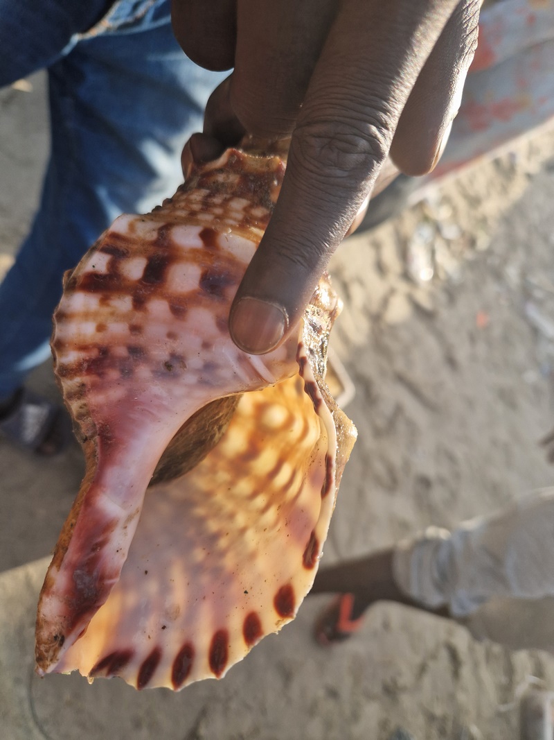 20251220_092331 (Kopiowanie).jpg