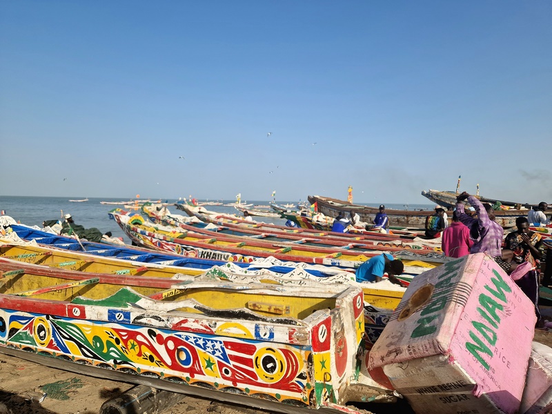 20251220_092458 (Kopiowanie).jpg