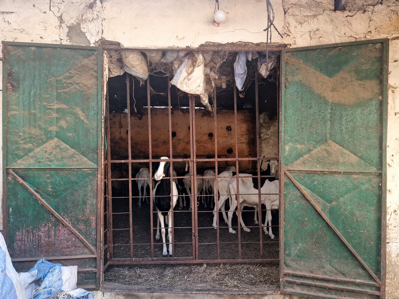 20251220_092831 (Kopiowanie).jpg