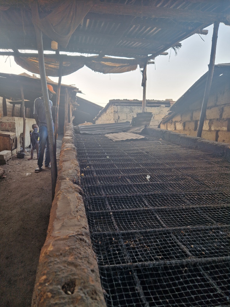 20251220_092903 (Kopiowanie).jpg