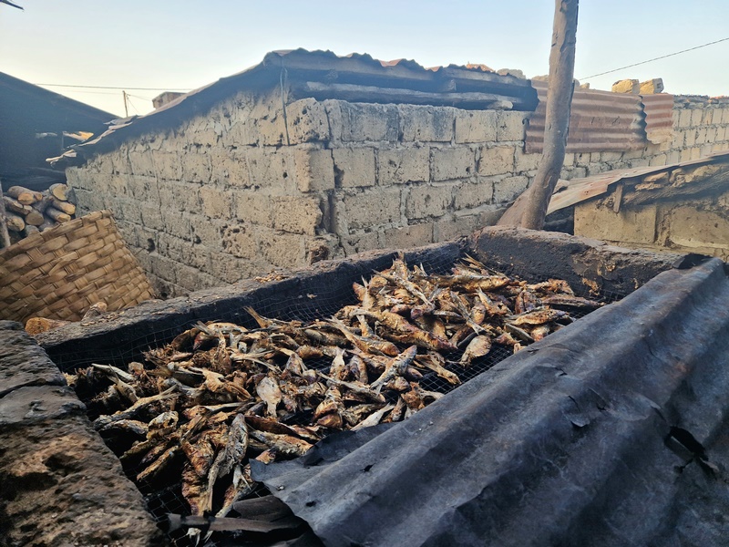 20251220_092926 (Kopiowanie).jpg