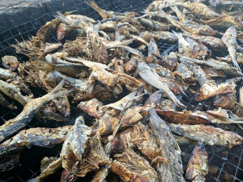 20251220_092929 (Kopiowanie).jpg