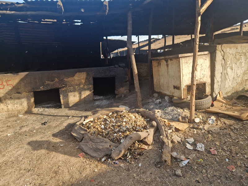 20251220_093006 (Kopiowanie).jpg