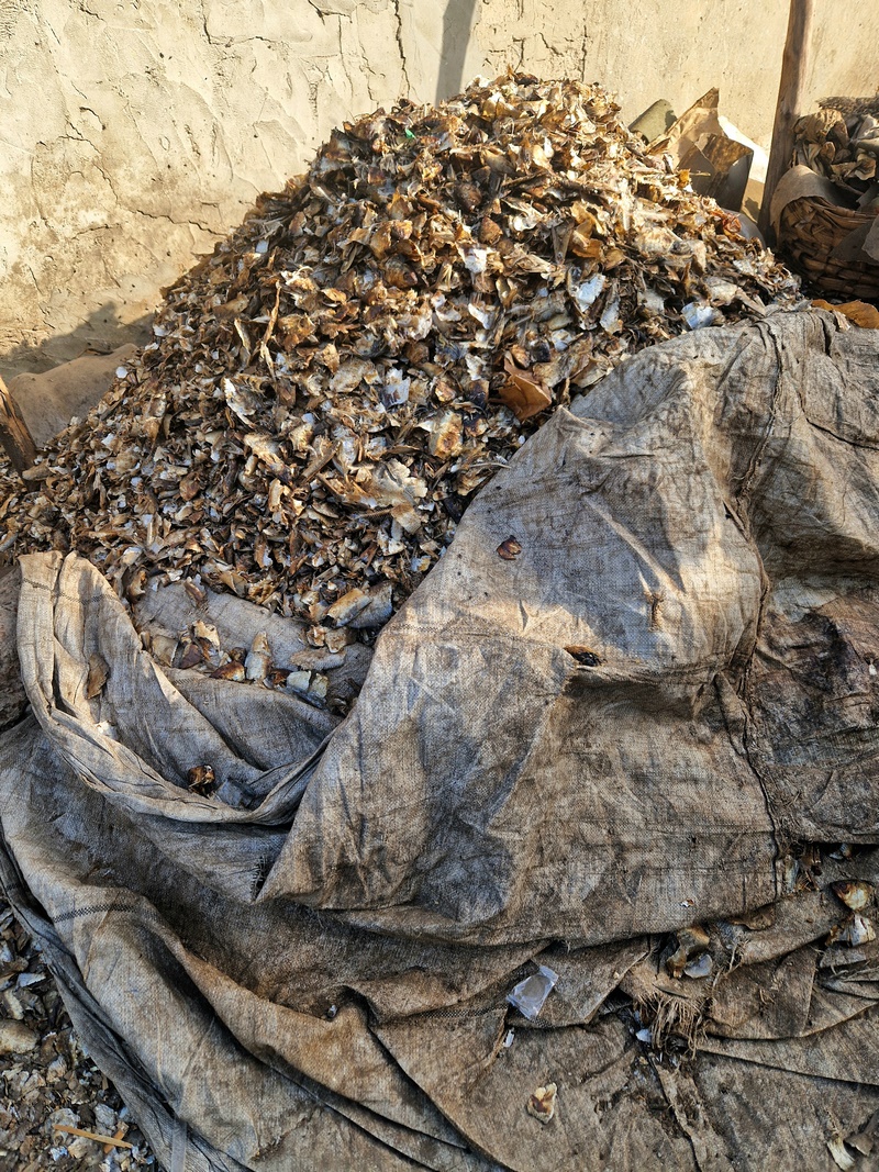 20251220_093020 (Kopiowanie).jpg