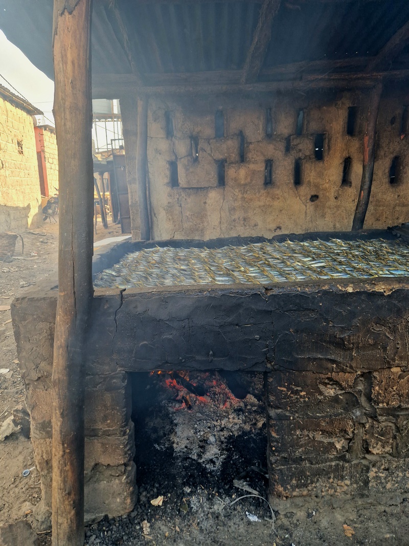 20251220_093155 (Kopiowanie).jpg