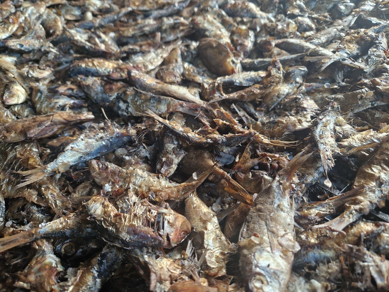 20251220_093327 (Kopiowanie).jpg