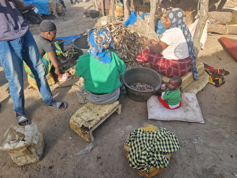 20251220_093440 (Kopiowanie).jpg