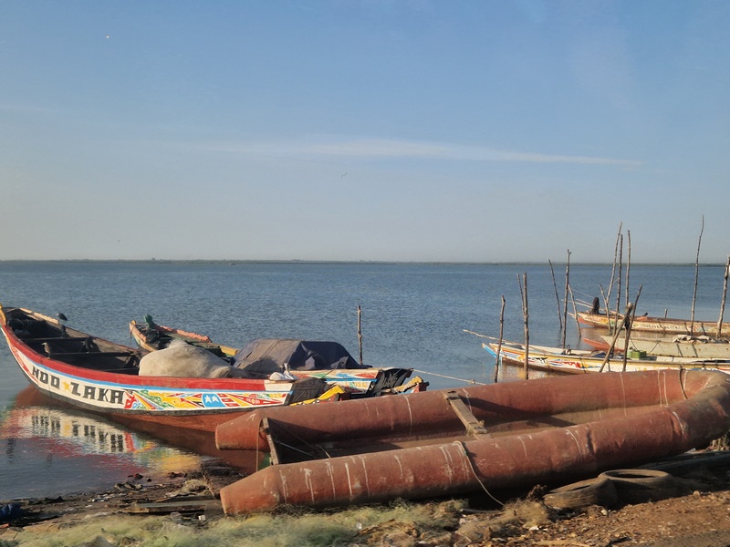 20251221_082358 (Kopiowanie).jpg